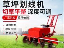 點(diǎn)擊查看詳細(xì)信息<br>標(biāo)題：草皮劃線(xiàn)機(jī) 閱讀次數(shù)：2822